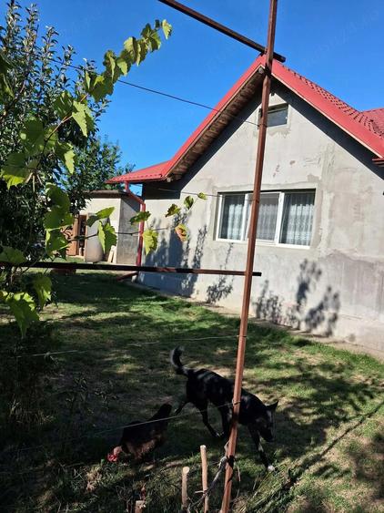 Casă cu Teren 2000 Mp în Valea Seacă