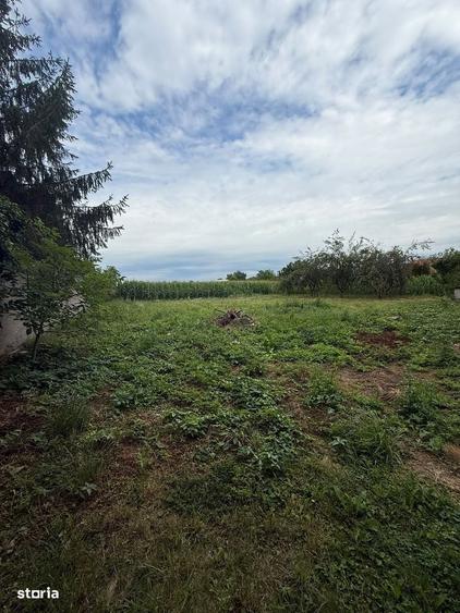 Doua case pe teren de 3.000 mp, Strada Botizului OMV, Satu Mare - 15