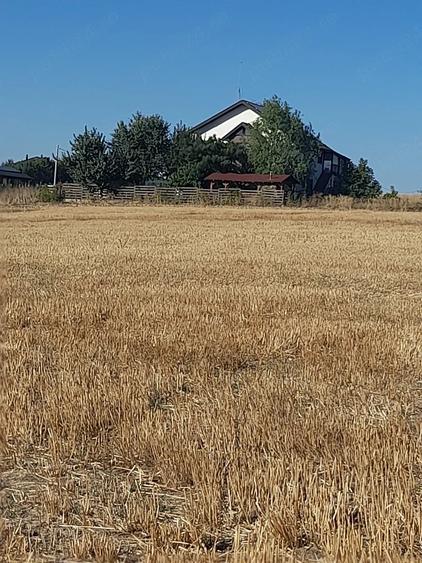 Teren de 1250 mp, în Cândeasca