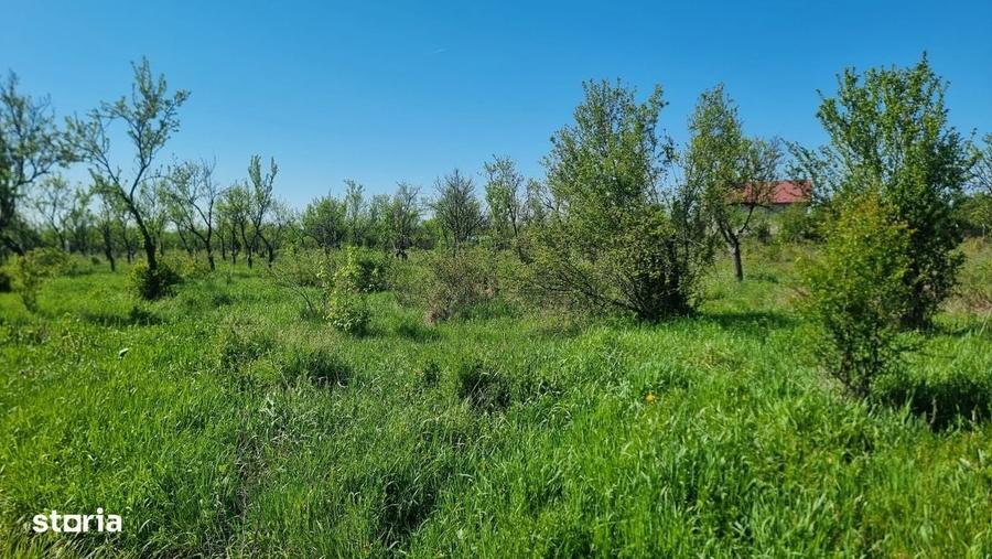 Spațiu comercial, în Bascov