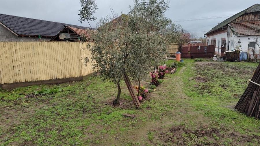 Casă cu 4 camere în Basarabi