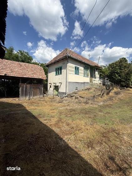 Casă cu 3 camere cu Teren 29000 Mp în Central