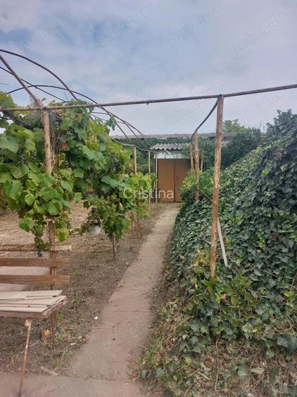 Casa de vanzare Biled