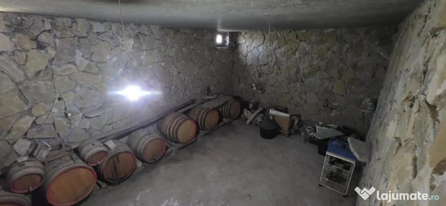 Casă cu 3 camere cu Teren 2000 Mp în Mihail Kogălniceanu
