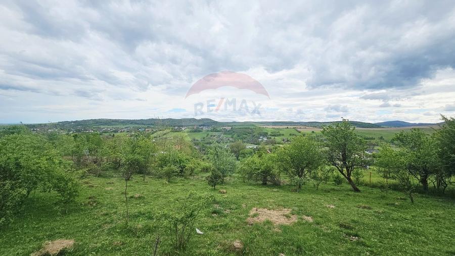 Teren Construcții intravilan de 5350 mp, în Dobreni