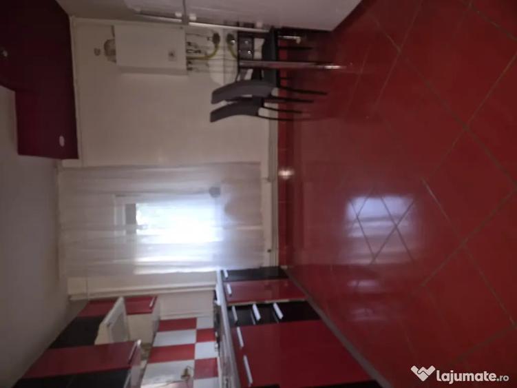 Apartament cu 2 camere semidecomandat în Broșteni