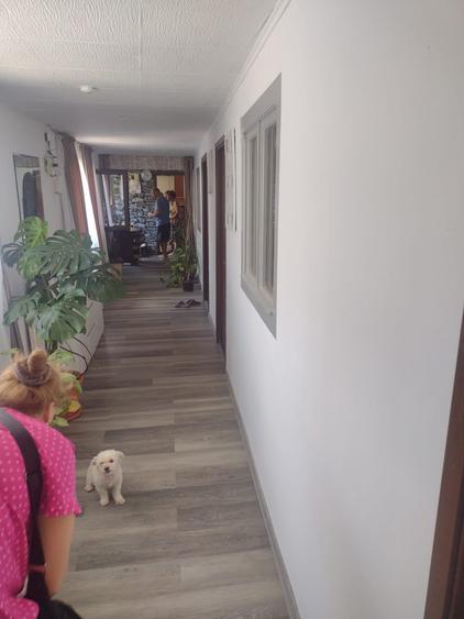 Casă individuală cu 4 camere cu Canalizare în Tunari