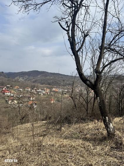 Teren de 4830 mp, în Godeni