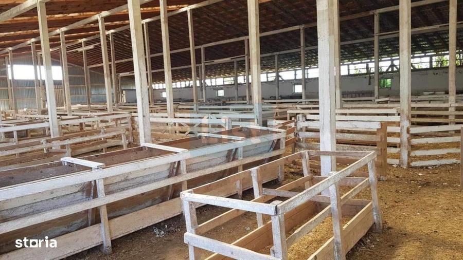 Casă cu 3 camere cu Teren 24281 Mp în Ciortea
