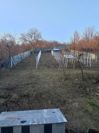 Casă cu Teren 1163 Mp în Valea Seacă