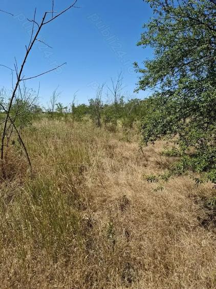Teren de 3500 mp, în Central