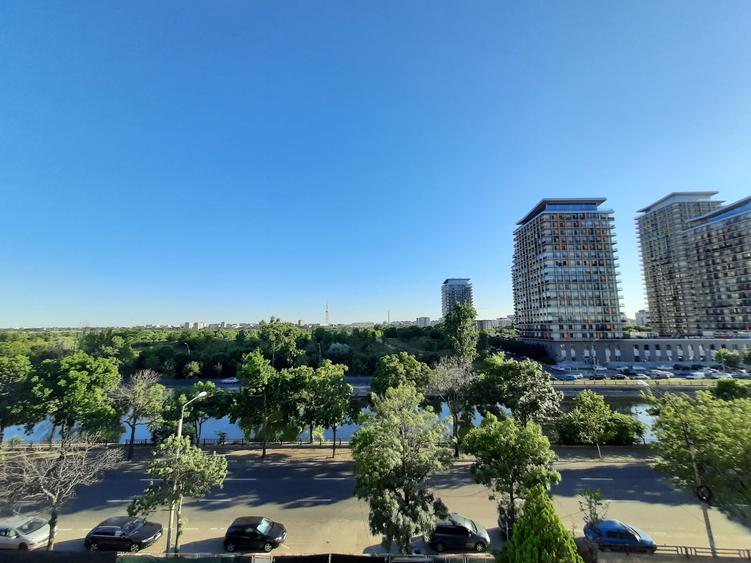 Apartament cu 10 camere decomandat în Mihai Bravu