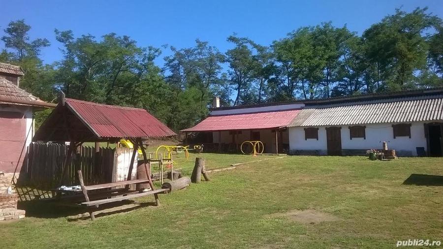 Casă cu Teren 6500 Mp în Șimian