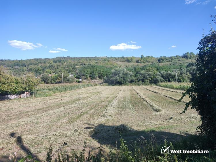 Teren Construcții intravilan de 1900 mp, în Țaga