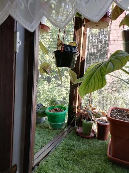 Apartament cu 3 camere semidecomandat în Berceni