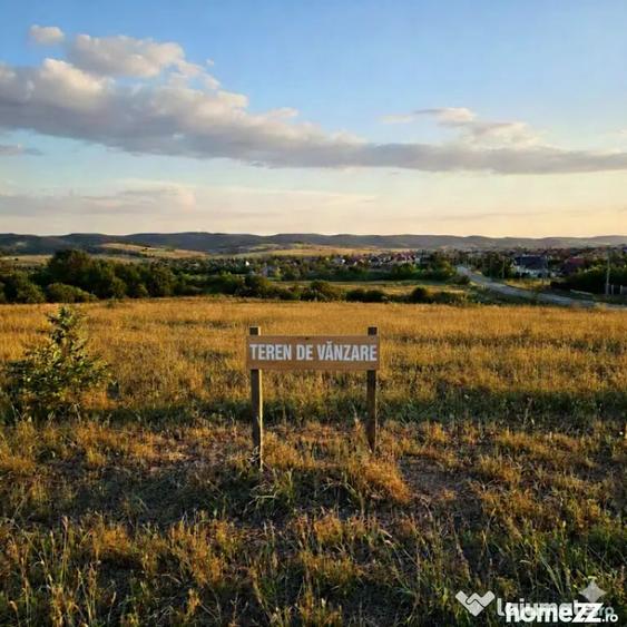Teren intravilan 10 ha dezvoltare industriala DN1 - 1