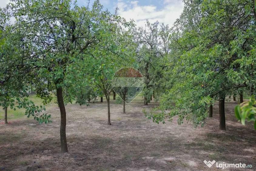 Casă cu 3 camere cu Teren 8788 Mp în Forosig