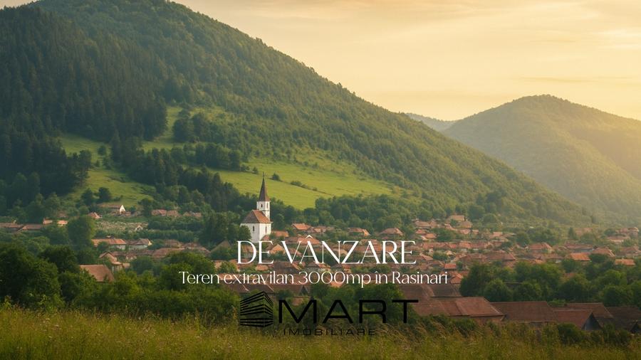 Teren de 3000 mp, în Rășinari