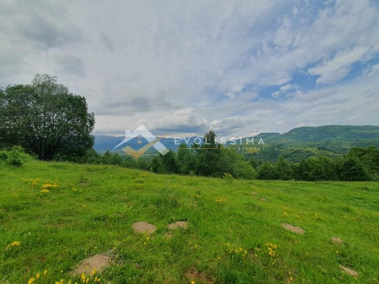 Teren Construcții intravilan de 11396 mp, în Moieciu de Jos