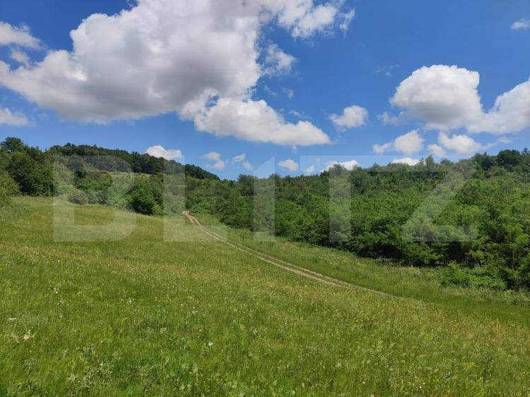 Teren agricol extravilan de 28500 mp, în Gușterița