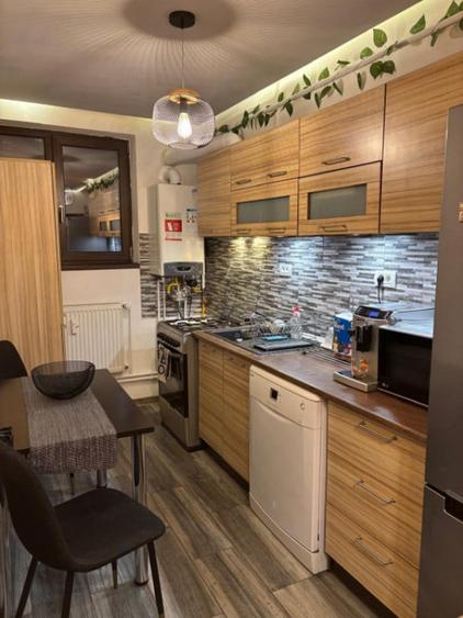 Apartament 2 camere,60 mp, zona Ultracentrala-Primarie - 6