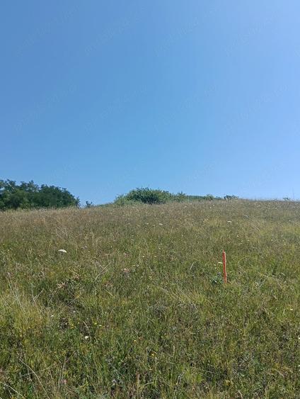 Teren de 5800 mp, în Apahida
