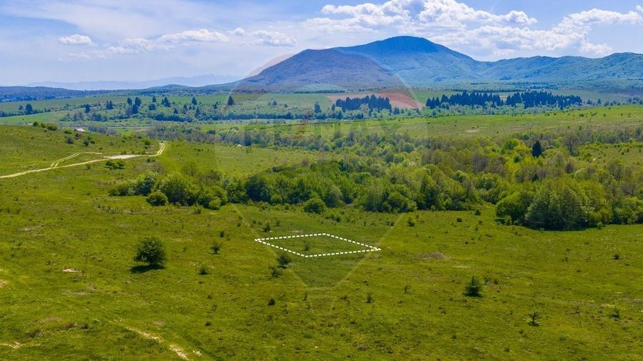 Teren Construcții intravilan de 500 mp, în Dumbrăvița