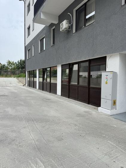 Apartament cu 3 camere semidecomandat în Ostroveni