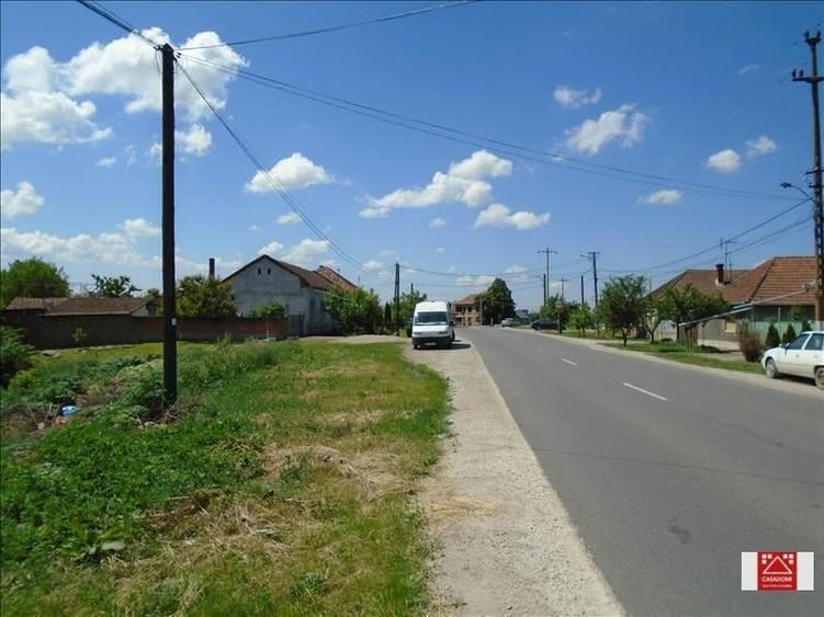 Teren Construcții intravilan de 27759 mp, în Zimandu Nou