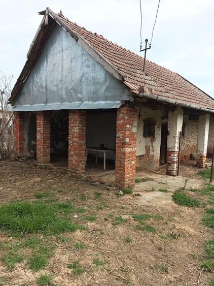Casă cu 2 camere în Albiș