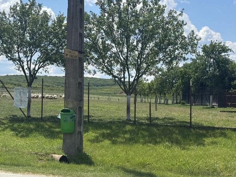 Teren de 500 mp, în Felcheriu