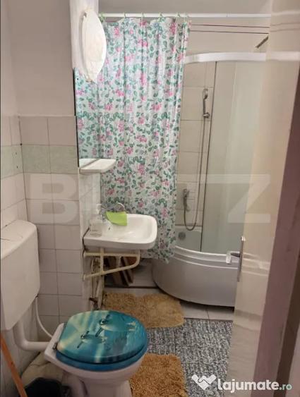 Garsoniera de inchiriat, 29 mp, zona Tractorul, Pet Friendl - Brasov (Brasov) - 2