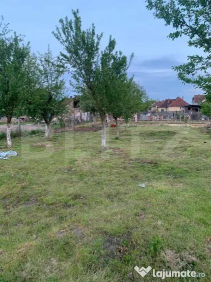 Teren de 1500 mp, în Cionchești