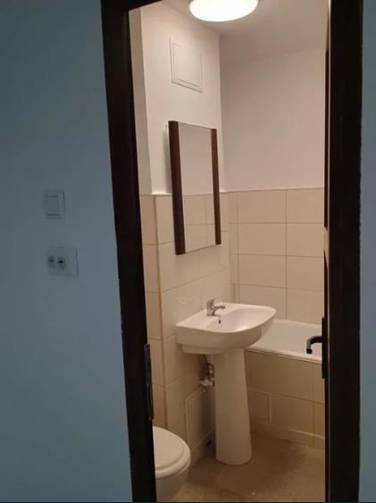 Garsonieră renovată de vânzare – Lujerului - 8