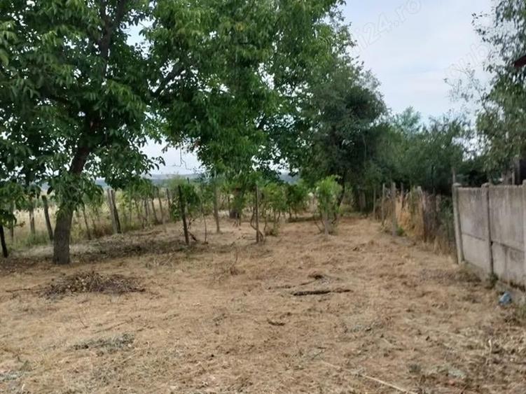Casă individuală cu 3 camere cu Teren 1382 Mp în Scăești