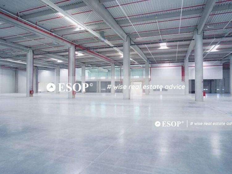 Spațiu industrial, de 2,300 mp, în Mogoșoaia