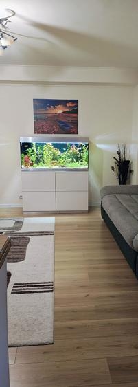 Apartament cu 3 camere decomandat în Mărășești
