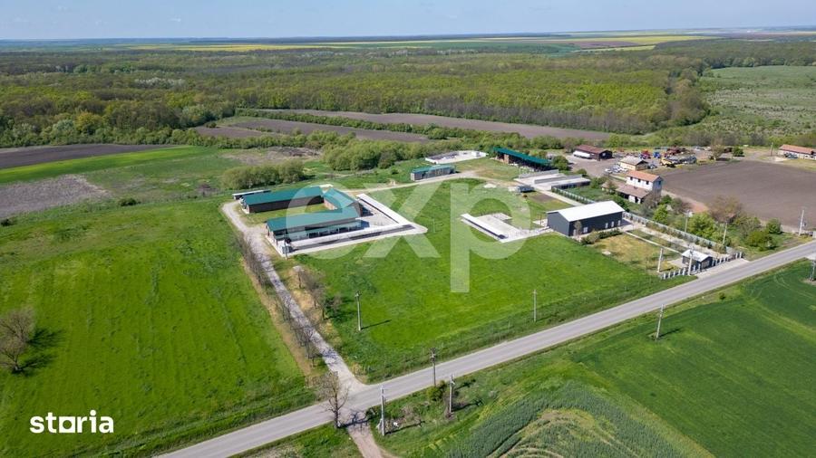 Teren de 105000 mp, în Singureni