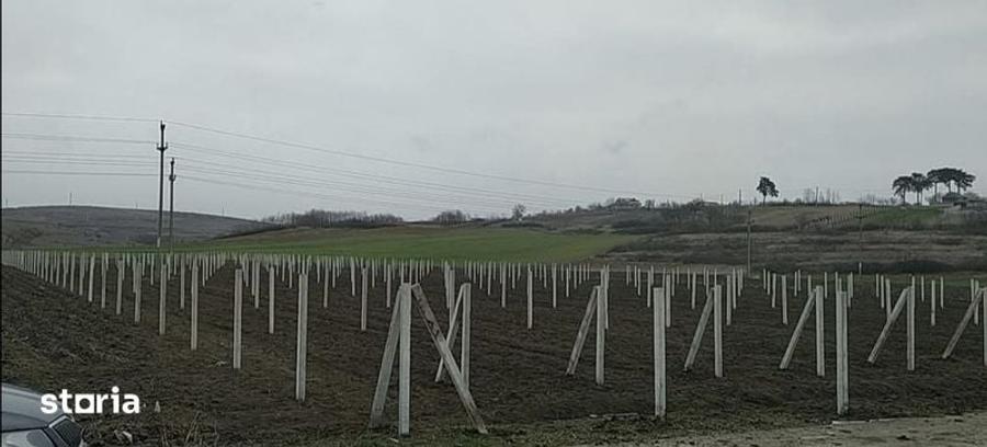 Teren de 9000 mp, în Berceni