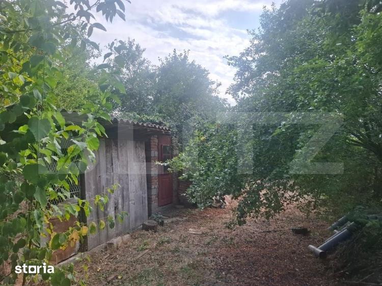 Casă cu 3 camere cu Teren 2800 Mp în Mireșu Mare
