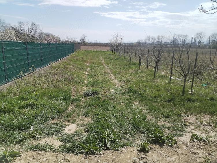 Teren de 5500 mp, în Ruși-Ciutea