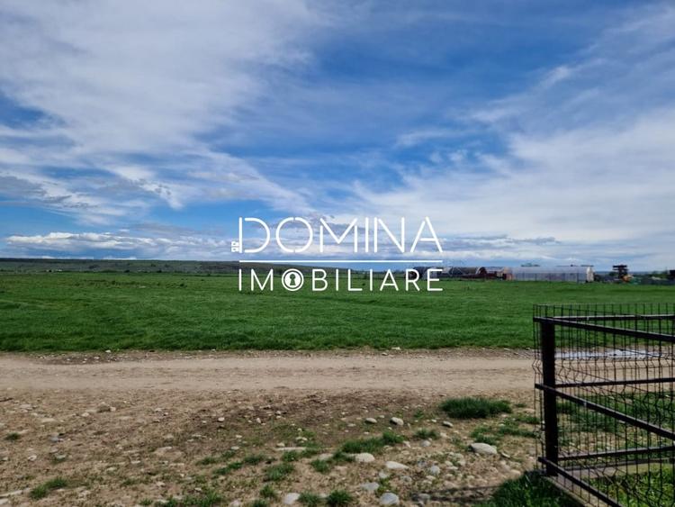 Teren agricol extravilan de 25254 mp, în Preajba