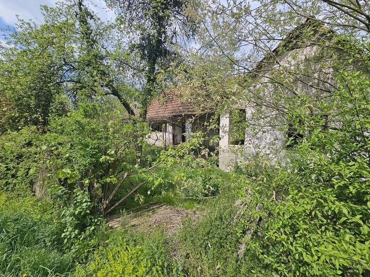 Casa si Teren - Zam - 1