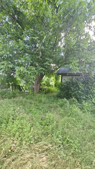 Teren de 5500 mp, în Vernești
