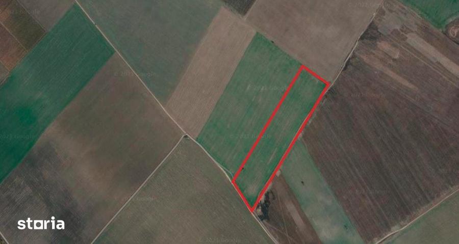 Teren de 60000 mp, în Central