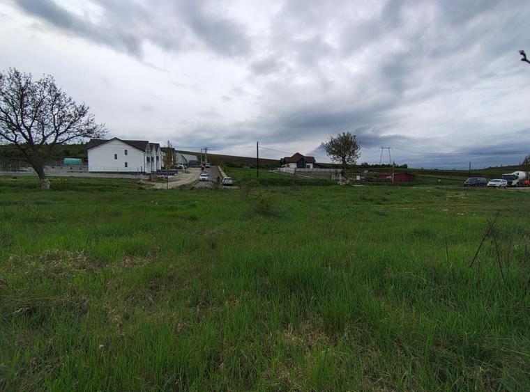 Teren Construcții intravilan de 717 mp, în Șura Mare
