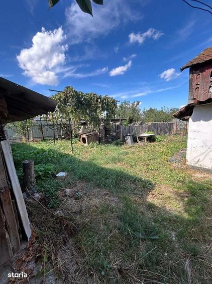 Casă cu 2 camere în Central
