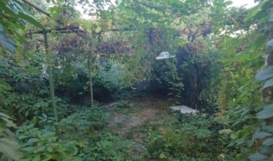 Casă cu 10 camere cu Teren 478 Mp în Armeneasca