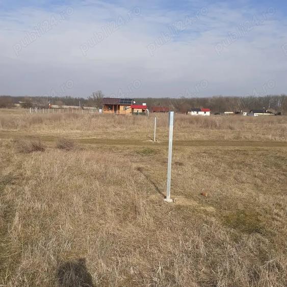 Vand teren intravilan 440mp padure Vladimirescu - 3