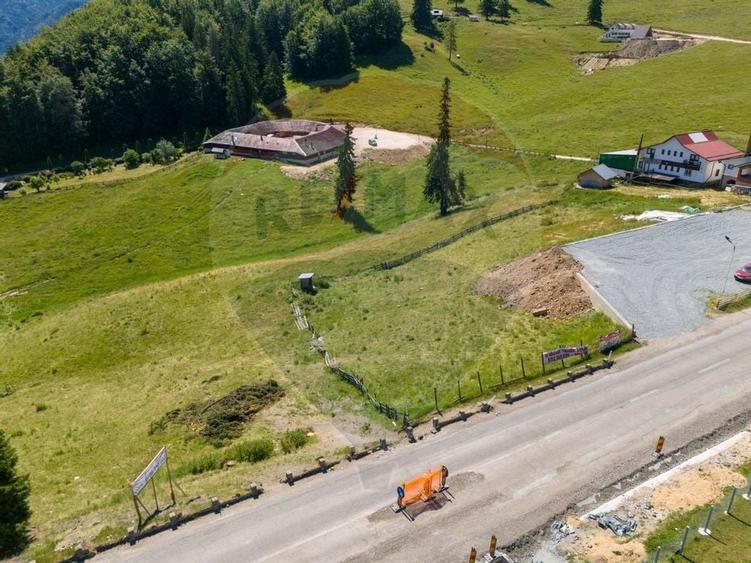Teren agricol extravilan de 56599 mp, în Dâmbovicioara